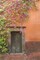 Mexico Bougainvillea outside wooden doorway by Don Paulson - Item # VARPDXSA13BJY0042